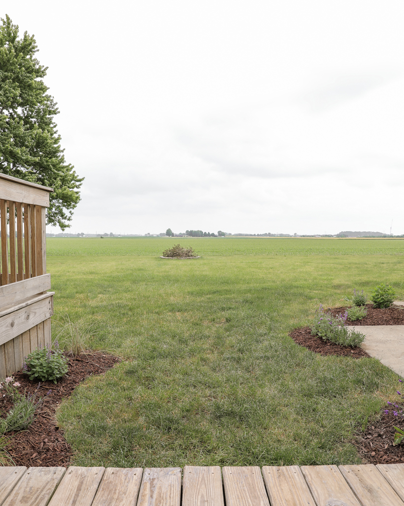 Creating a new flower bed