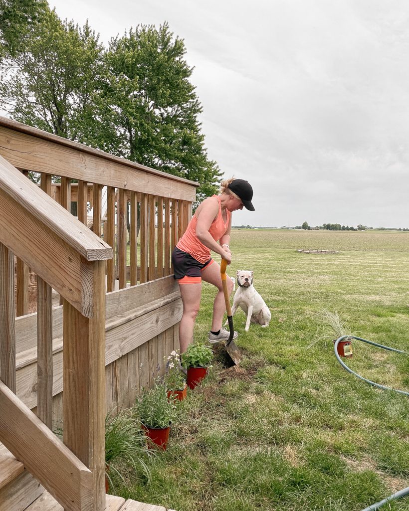 Creating a new flower bed