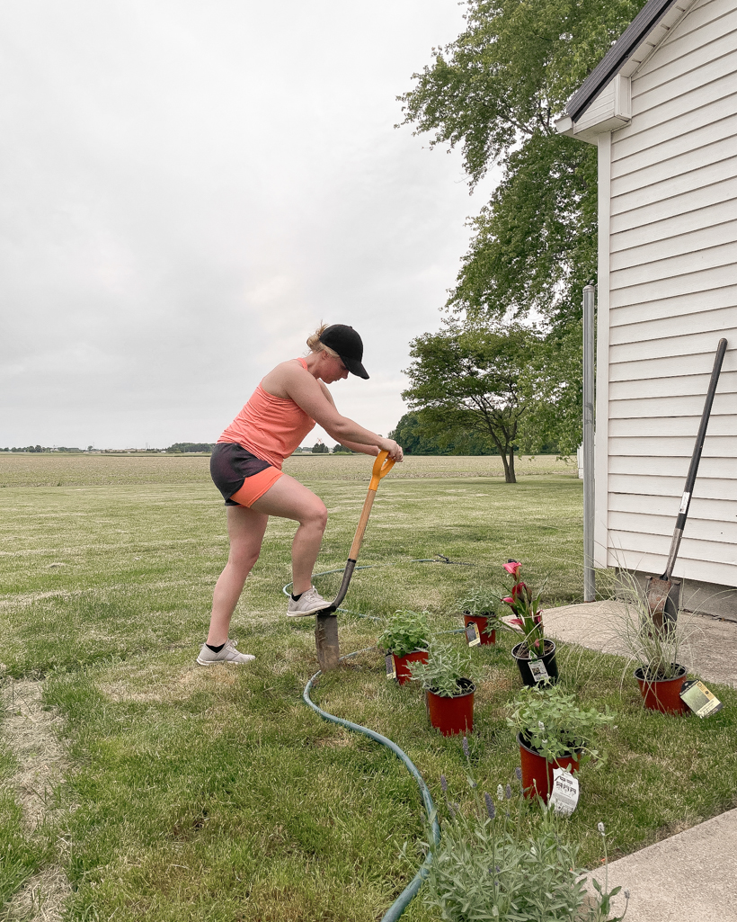 Creating a new flower bed