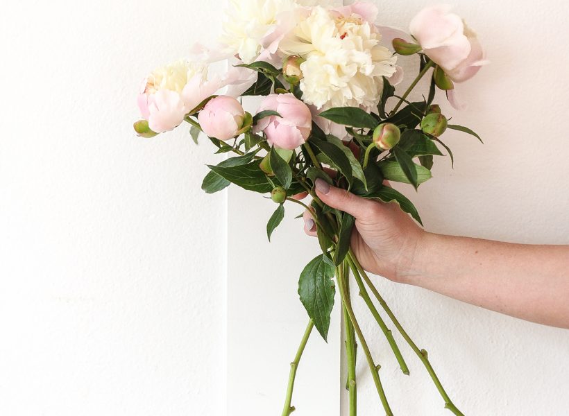 Bouquet of peonies