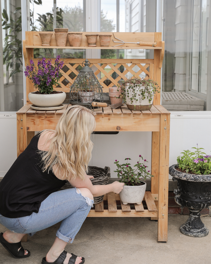 Styled potting bench with plants