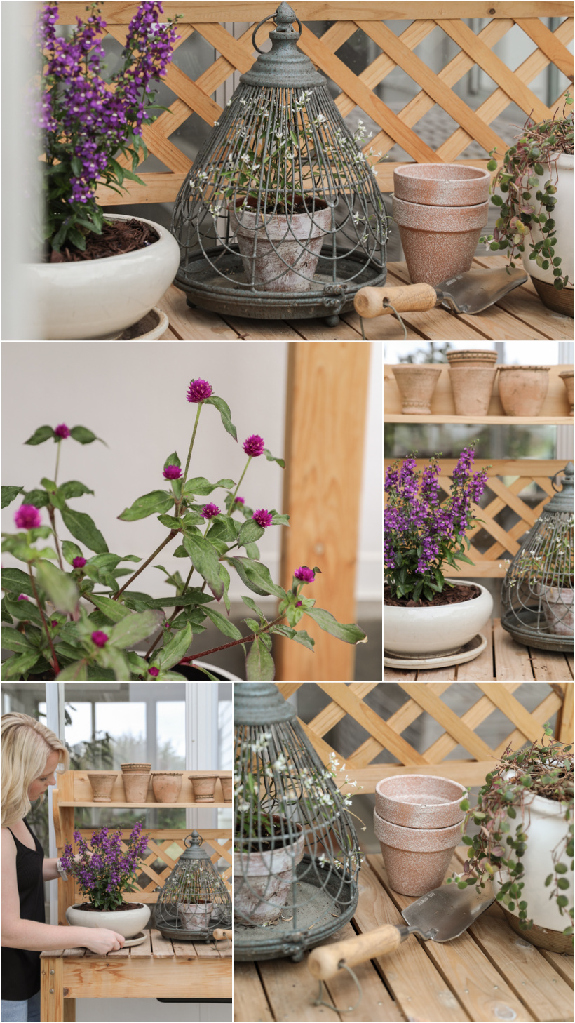 Styled potting bench with plants