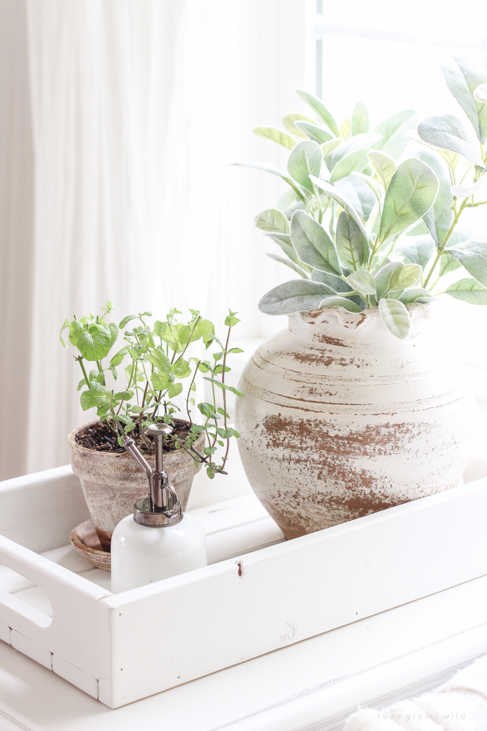 A lovely casual home office with lots of light, soft textures, and gorgeous greenery. 