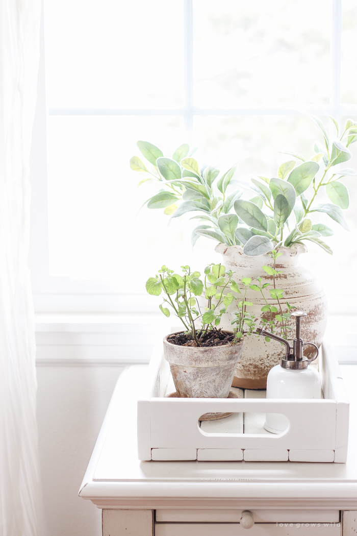 A lovely casual home office with lots of light, soft textures, and gorgeous greenery. 